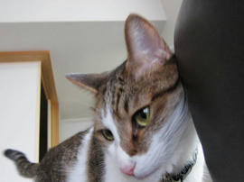 IMG003239.jpg