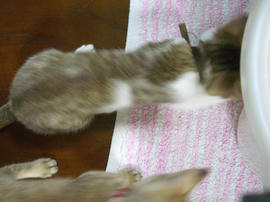 IMGP6603.jpg