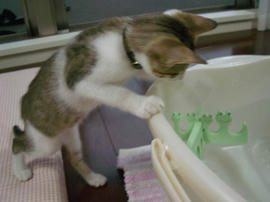 IMGP6620.jpg