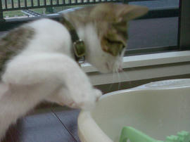 IMGP6623.jpg