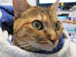 IMG003241.jpg