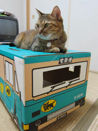 IMG003245.jpg