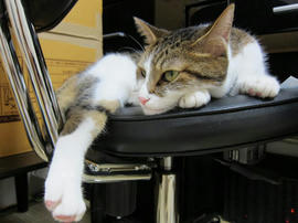 IMG003246.jpg