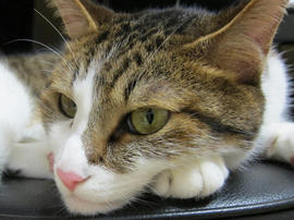 IMG003247.jpg