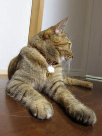 IMG003251.jpg