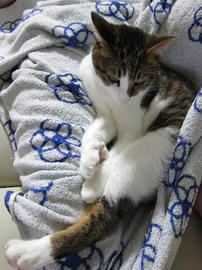 IMG003256.jpg