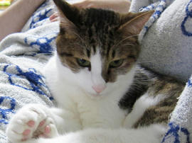 IMG003257.jpg