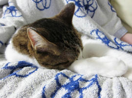 IMG003262.jpg