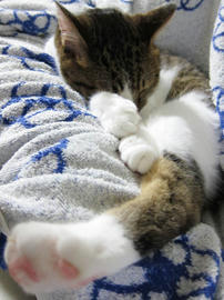 IMG003263.jpg