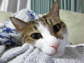 IMG003265.jpg