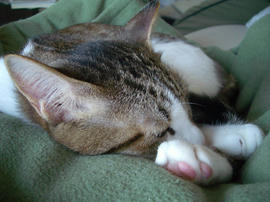 IMGP12005.jpg