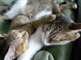 IMGP12011.jpg
