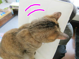 IMG003269.jpg