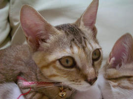 IMGP6646.jpg