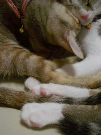 IMGP6653.jpg