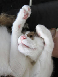 IMG03270.jpg