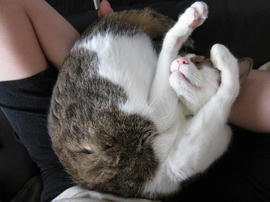 IMG03271.jpg