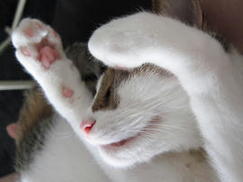 IMG03272.jpg