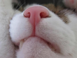 IMG03273.jpg