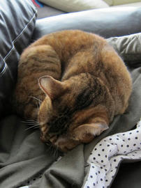 IMG03274.jpg