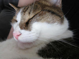 IMG03276.jpg