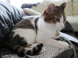 IMG03277.jpg