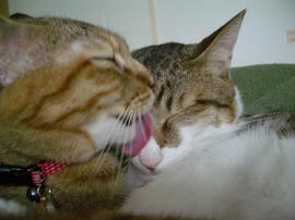 IMGP12039.jpg