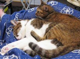 IMG03286.jpg