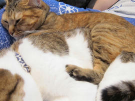 IMG03287.jpg