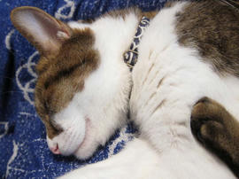 IMG03291.jpg