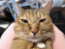 IMG03293.jpg