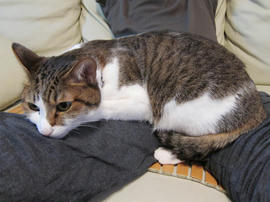 IMG03295.jpg