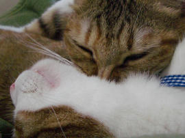 IMGP12058.jpg