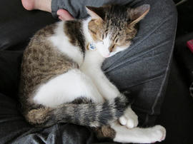 IMG03303.jpg