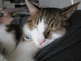 IMG03304.jpg