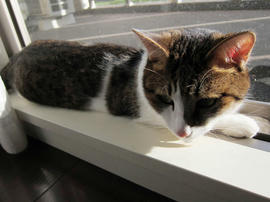 IMG03305.jpg