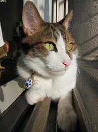 IMG03308.jpg