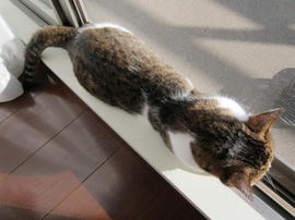 IMG03310.jpg