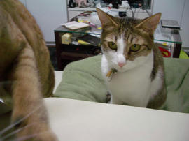 IMGP12065.jpg