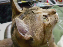 IMGP12067.jpg