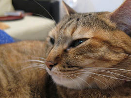 IMG03316.jpg