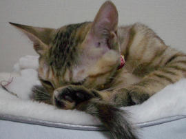 IMGP6736.jpg