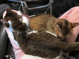 IMG03317.jpg