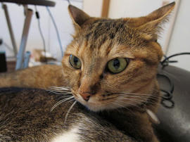 IMG03318.jpg