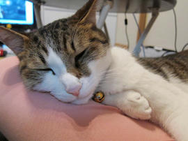 IMG03320.jpg