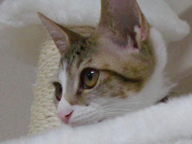 IMGP6748b.jpg