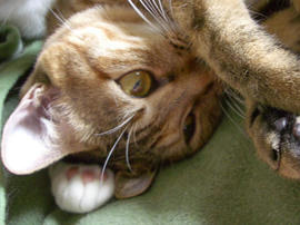 IMGP12082.jpg