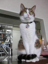 IMG03324.jpg