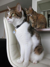 IMG03328.jpg