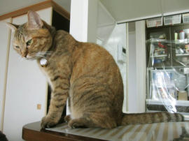 IMG03325.jpg